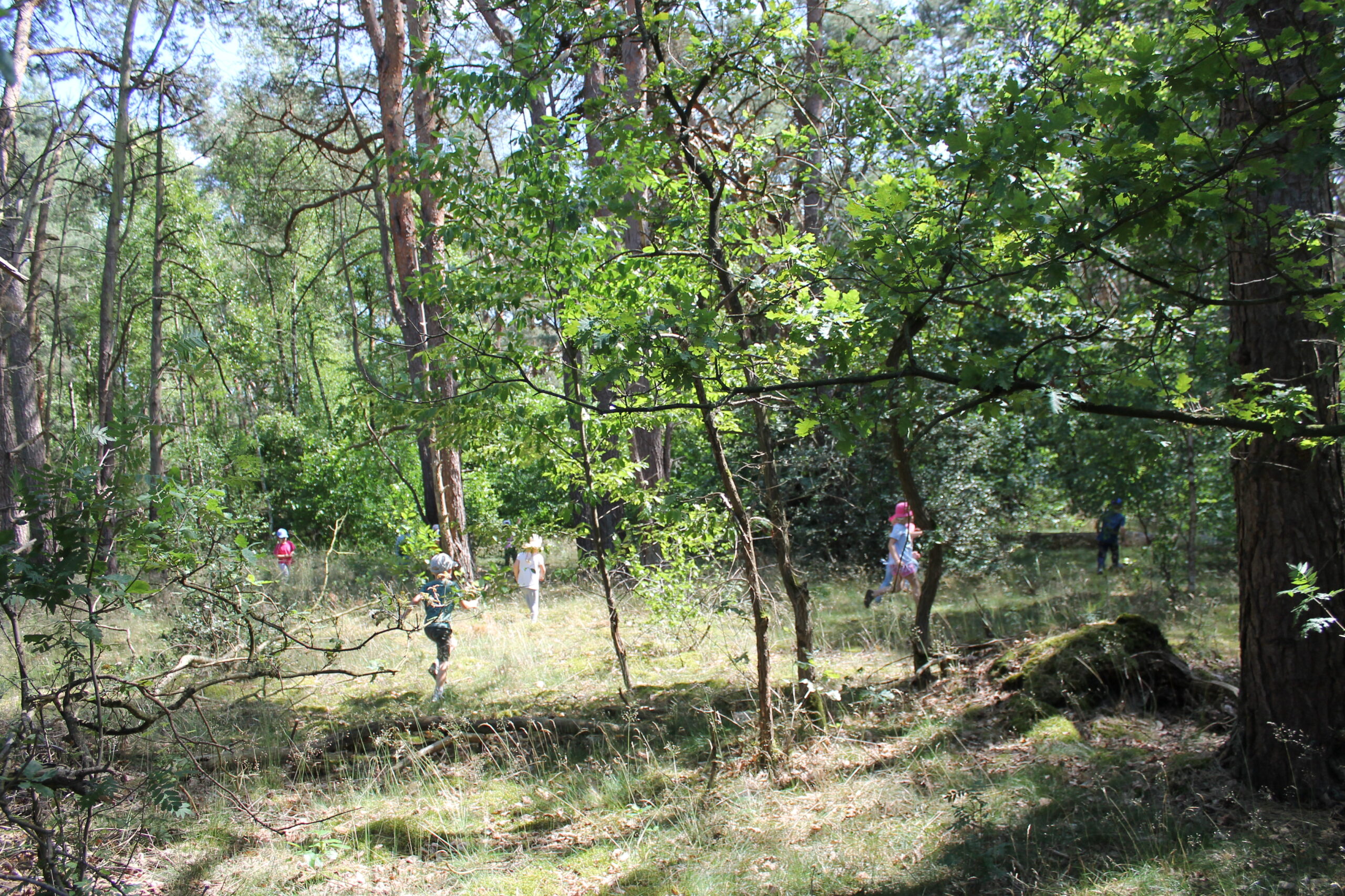 AbbensenKiga (135)