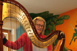 CelloHarfe (21)