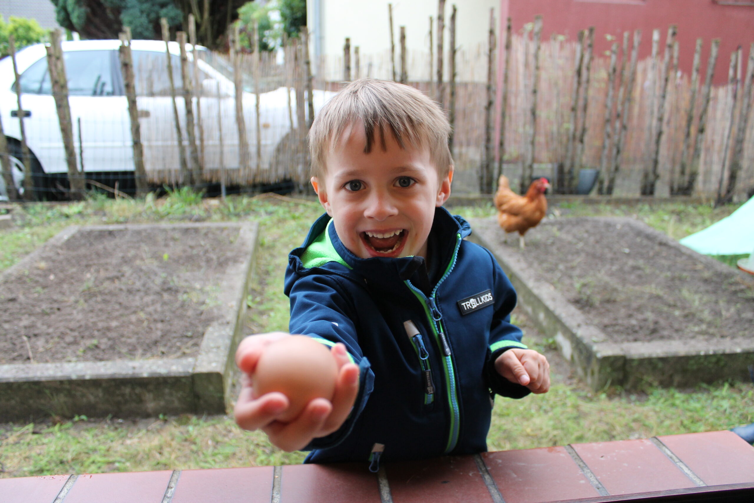 Huhn (107)