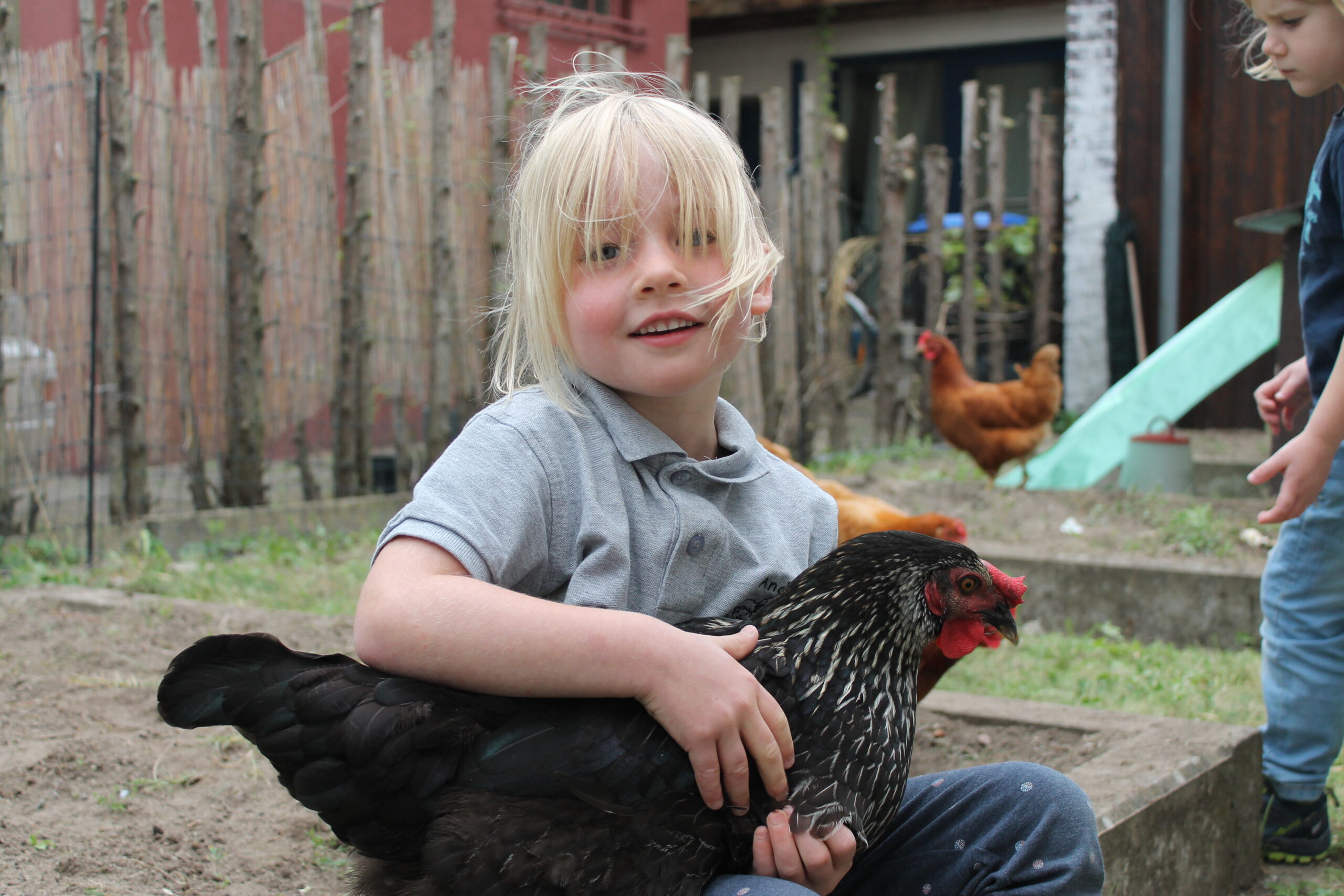 Huhn (118)