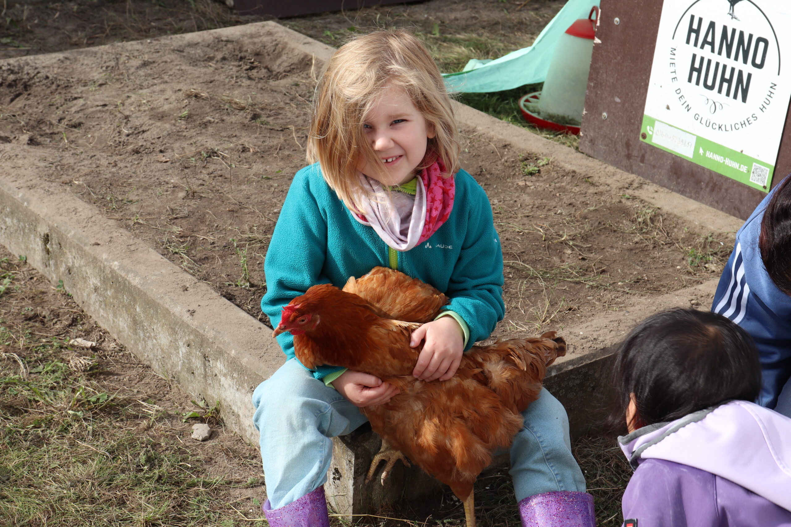 Huhn (23)