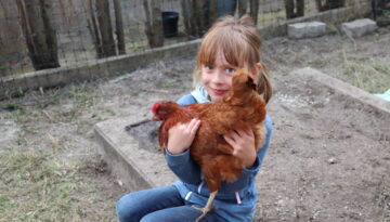 Huhn (38)