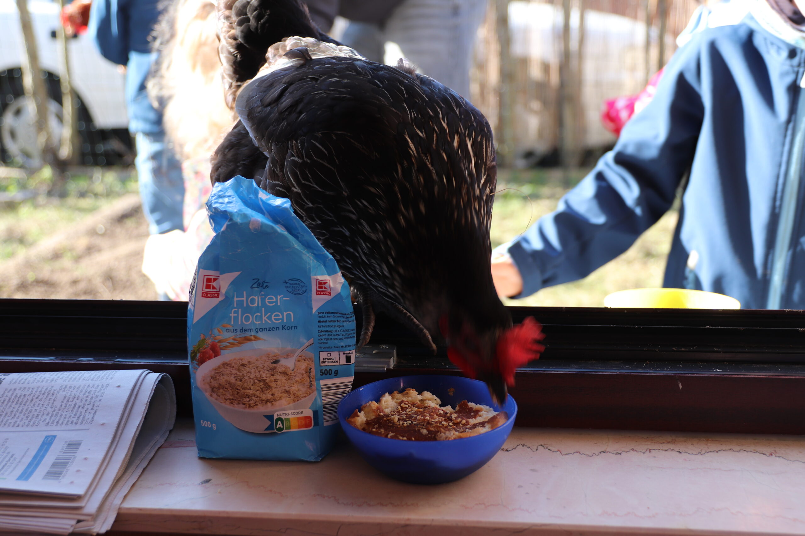 Huhn (58)