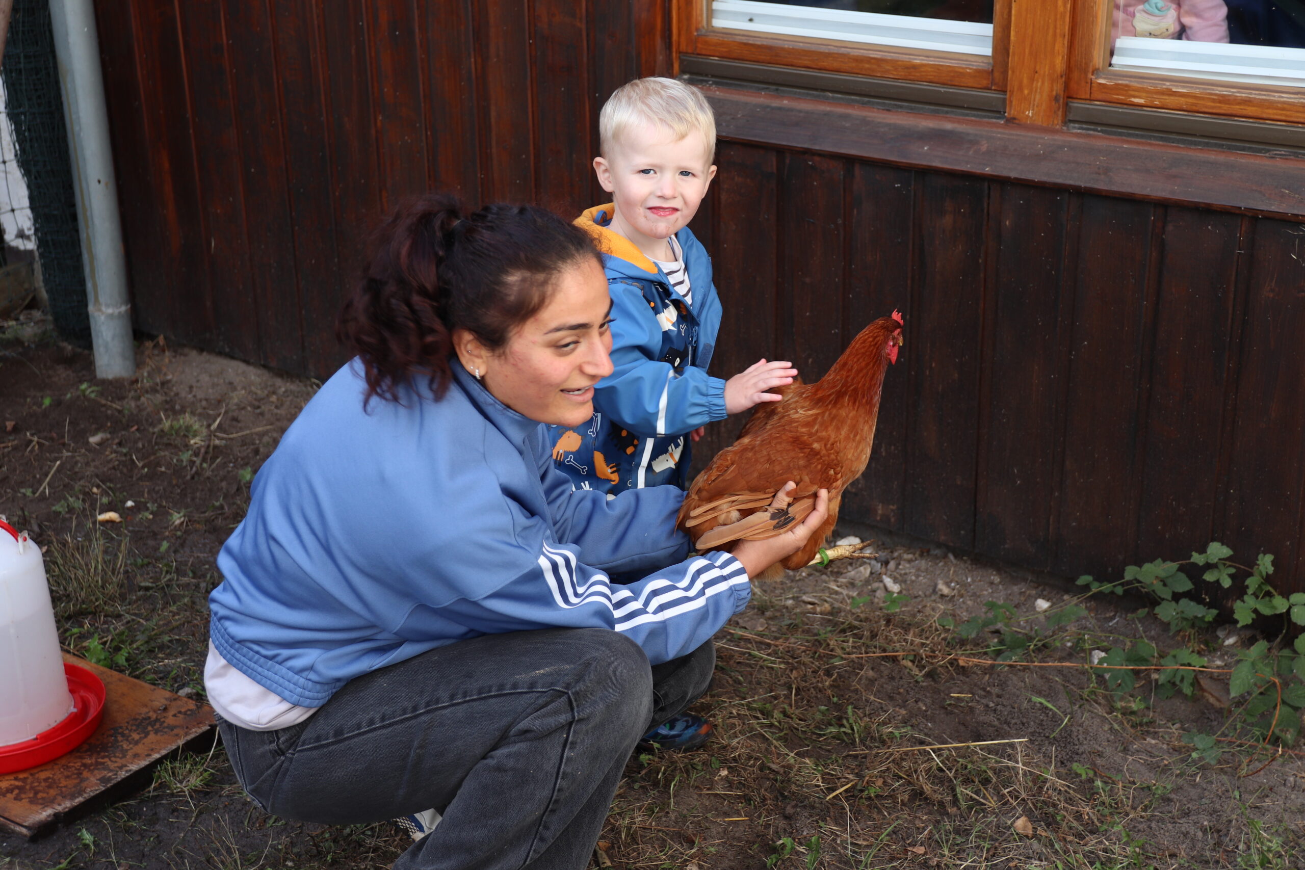 Huhn (79)