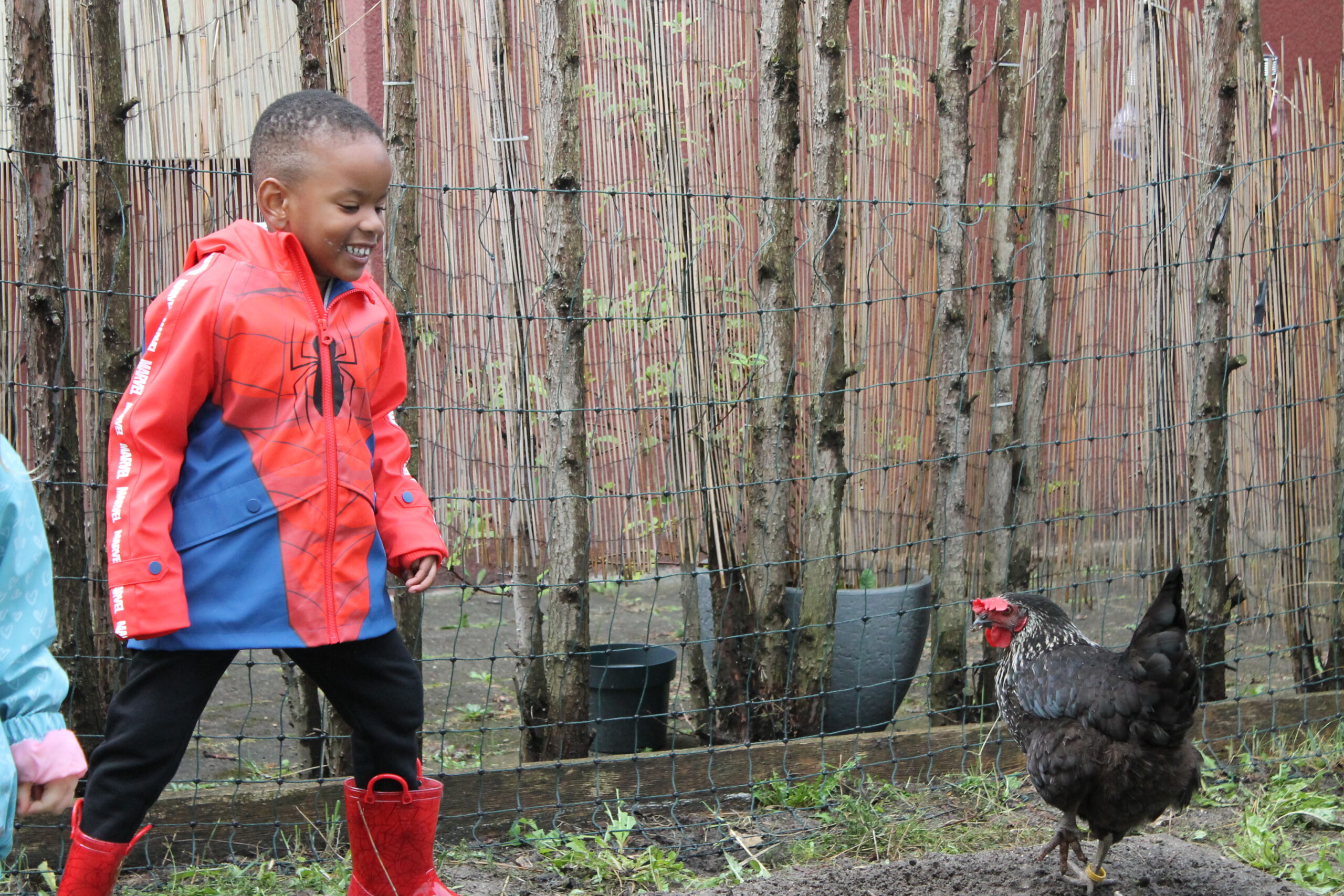 Huhn (96)