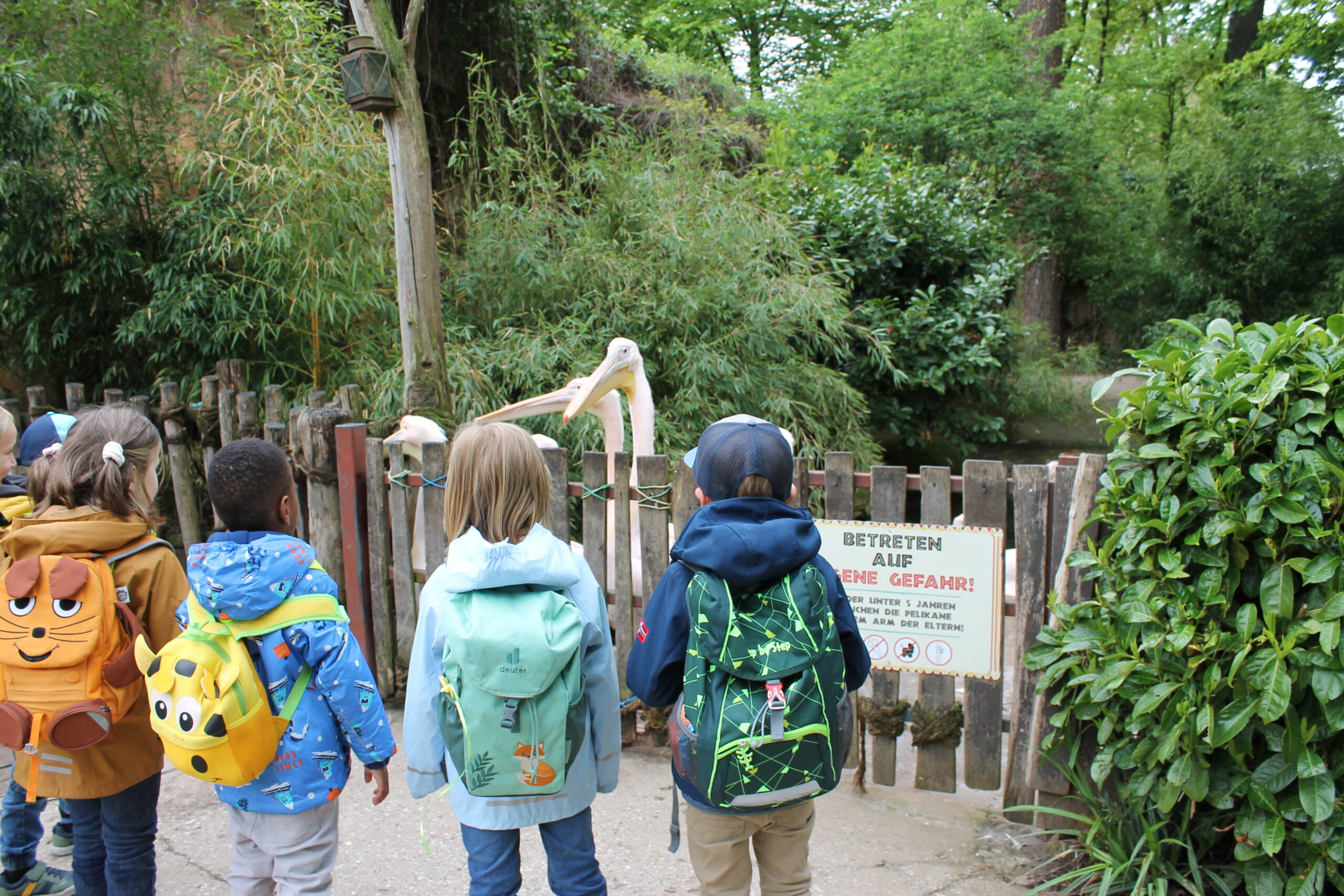 Zoo (64)
